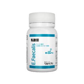 乳酸菌（EC-12）